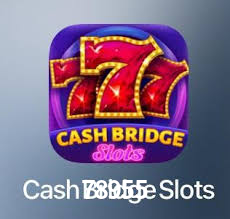 Bônus Diários 78955